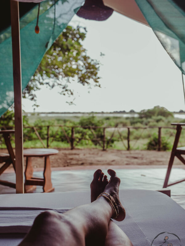 Hello Tanzania Safari113