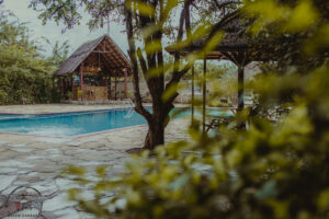 expeditions Tanzania