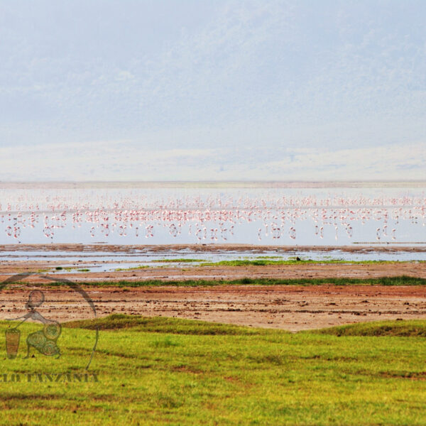 Tanzania northern Circuit