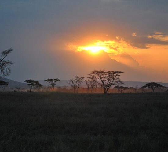 Zachód słońca nad sawanną w Tarangire – drzewa akacjowe i cisza safari