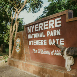 Selous Safari selous