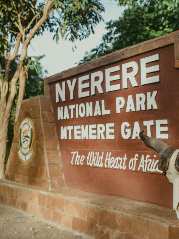 Selous Safari selous