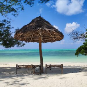 Beach and safari holiday in Tanzania – combine adventure with relaxation