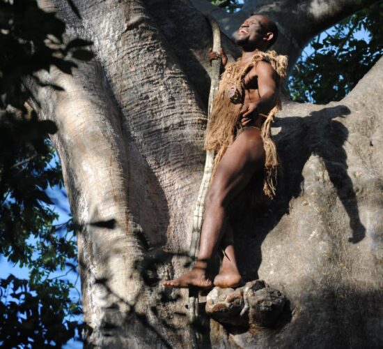 Spacer po buszu z lokalnym przewodnikiem – Selous atrakcje poza utartym szlakiem