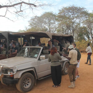 Sylwia z zespołem Hello Tanzania – przygotowanie do wyprawy, Safari po polsku